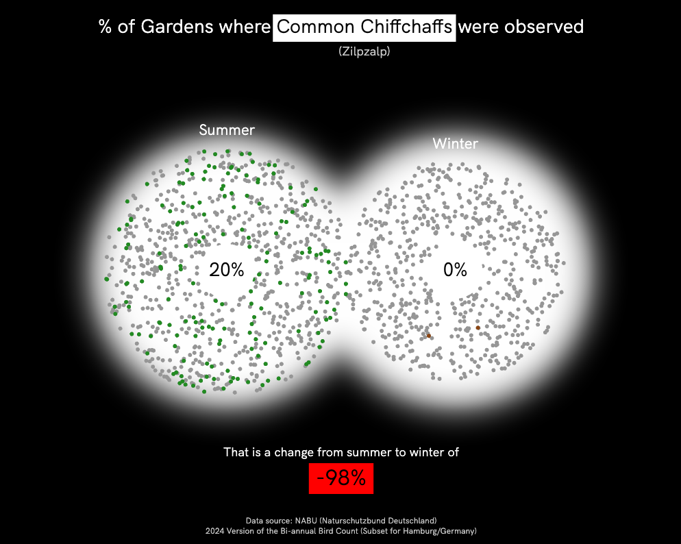 Common Chiffchaff binoculars visualization Hamburg bird count